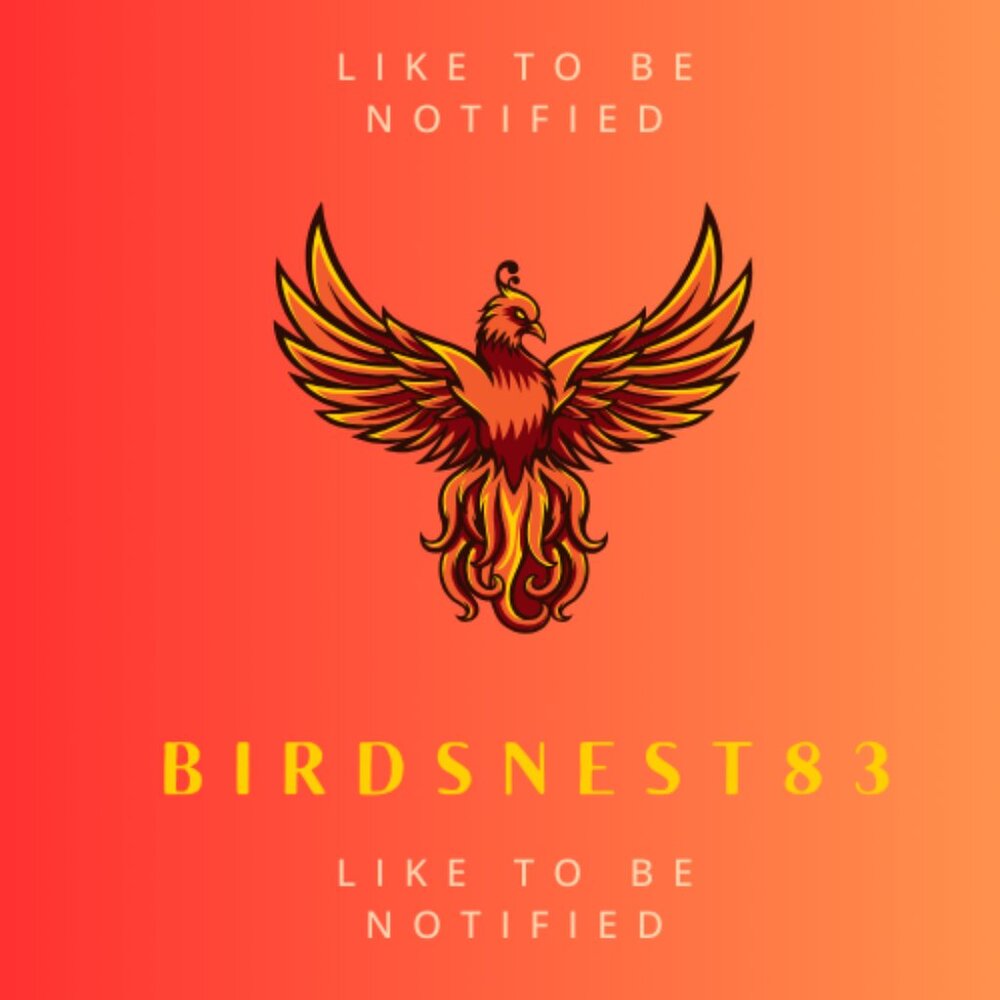 ****LIKE TO BE NOTIFIED OF LIVE SHOW: BIRDSNEST83****